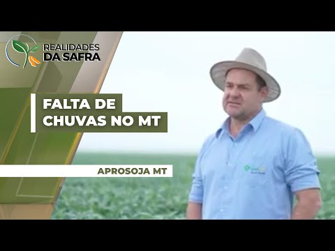 Alto Taquari/MT e Alto Garças/MT sofreram com falta de chuvas para as lavouras de soja