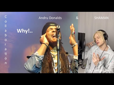 SHAMAN &   Andru Donalds | Why | коллаборация