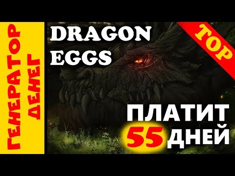 Dragon Eggs 55 дней активной работы, и это только начало пути!