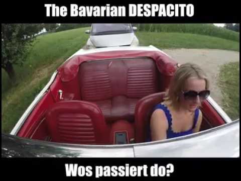 Despacito in Bayrisch.😂❤🎼🎶🎤