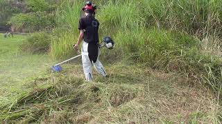 เครื่องตัดหญ้า Puma PM-432G เครื่องยนต์ 2 จังหวะ ใช้เอ็นตัดหญ้า Sawmaster ตัดโครตดี