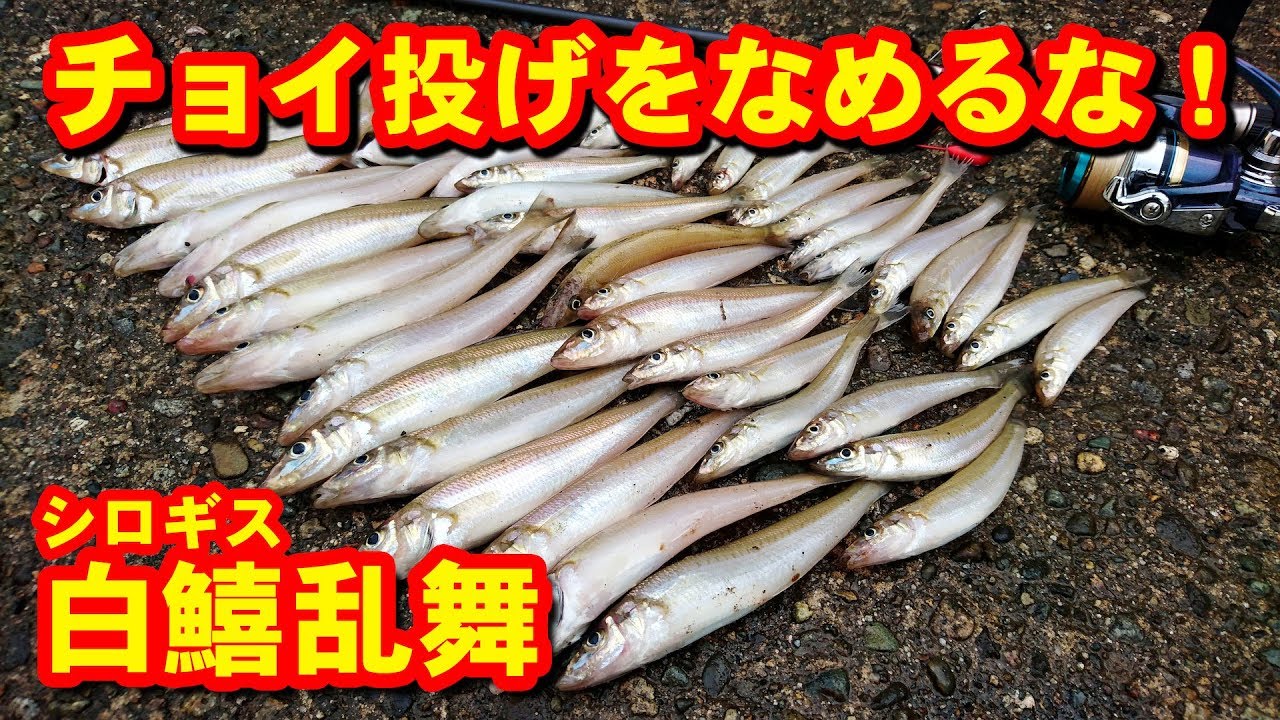釣りなんですch