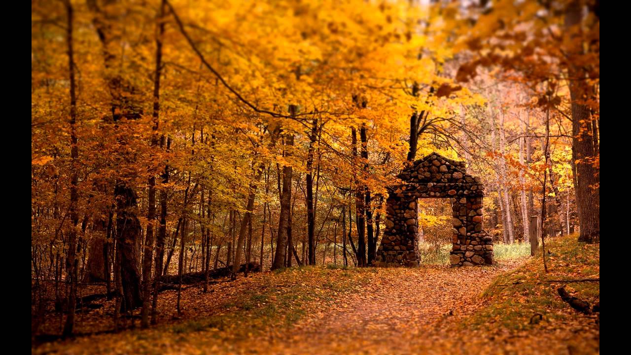 RadioUFA #1: Bài học đầu tiên