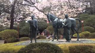 preview picture of video '七尾市 小丸山公園 花見 2013 Nanao Komaruyama park cherry blossoms'