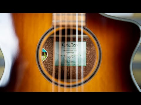 Breedlove Acoustic-Electric Guitar - Discovery Series image 4