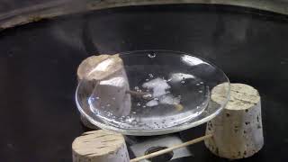 Triple Point of Water