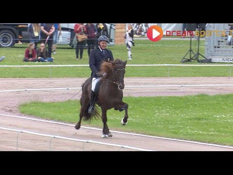 Magnús Skúlason - Hraunar frá Efri-Rauòalæk