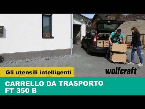 5548000_FT-350-B-Furniture-Dolly-splittable-with-handle_PRO_MCP_it_2017.mp4