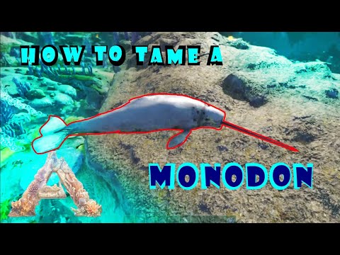 Easiest Way to Tame a Monodon | TAMING THE NEW ARK CREATURES!!! | Aquatica, ARK: Survival Evolved