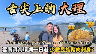 【中國雲南】舌尖上的大理!洱海一日遊:¥40白族「小豬佩奇刺身」|中國少數民族火燒生皮|滇藏線第二天|火車進藏前奏|西藏自駕天路行EP4|momojoejoe 4K VLOG