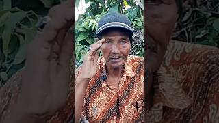 Download lagu Mancing ikan anabas #mancing #fishing #shorts #short mp3