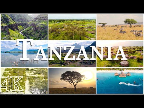 탄자니아의 아름다운 정경들과 음악