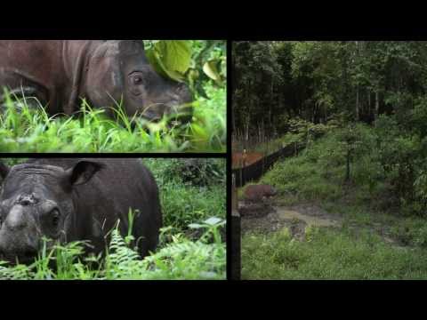 NACHHALTIGES WIRTSCHAFTEN UND RESSOURCEN BMBF & IZW