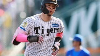 🔥佐藤輝明、沈黙を破る一撃！甲子園が震えた瞬間⚾#阪神タイガース #佐藤輝明 #プロ野球 #ホームラン #甲子園 #才木浩人 #藤川球児 #DeNA戦 #野球ハイライト #セリーグ