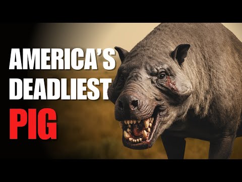 How Dangerous Was The Hell Pig? | Scientific Documentary About Daeodon