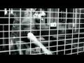 La Canaille - L'Usine 