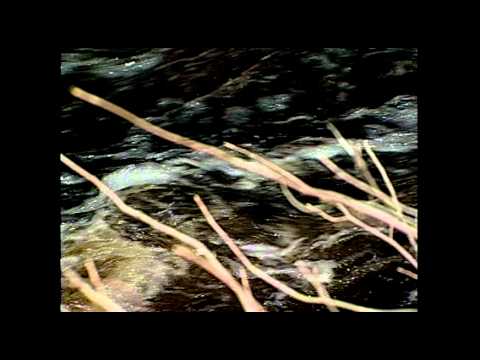 ABC6 - Taunton Dam Burst Threat