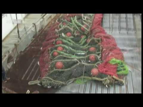 [Doku] Moderne Wunder: Fischfang in Alaska (HD)