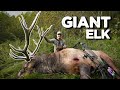 I Hunted GIANT ELK In Kentucky With A Bow