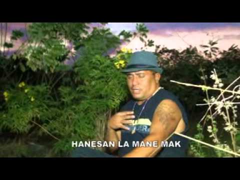 VIDIGAL PINTO - ISTORIA DOMIN