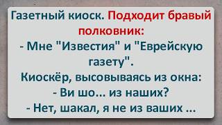 ✡️ Бравый Полковник и Еврей Киоскёр! Еврейские Анекдоты! Анекдоты Про Евреев! Выпуск #467