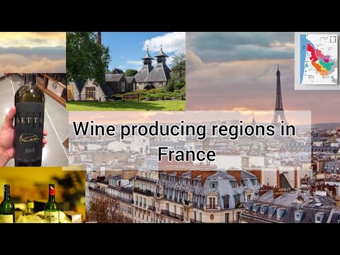 Wine producing regions in France|Wine France Boreduex