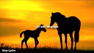 Caballo Homosexual De Las Montañas | LETRA