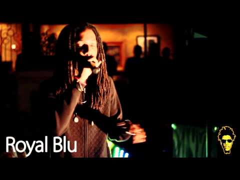 Welcome Paula's Son ( Runkus, Kabaka Pyramid, Koro Fyah, Royal Blu & Determine live)