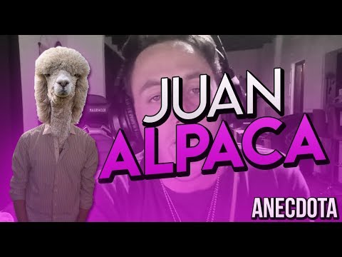 Juan ALPACA - Anecdota | MomoLaDinastia