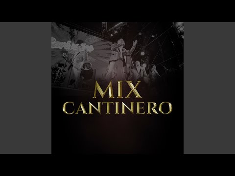 Mix Cantinero: Cantinero / Mi Vicio Mortal / Sin Ti My Love / Triste Payaso