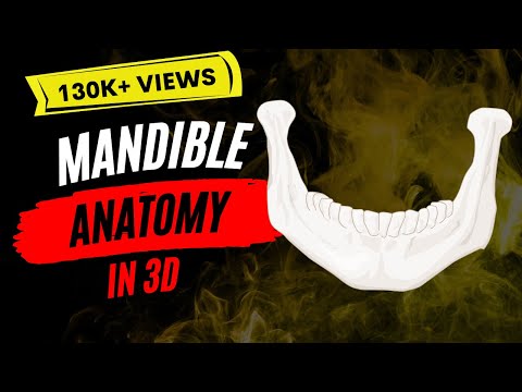 Mandible : Favorite bone of dentists?