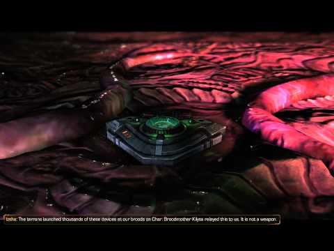 After Supreme Conversations - Starcraft 2 Heart of the Swarm