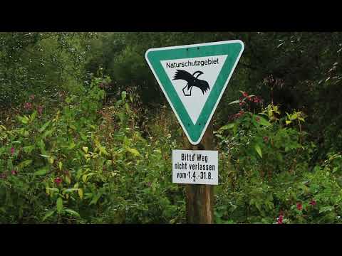 Die Isar... einer der schönsten Flüsse Bayerns