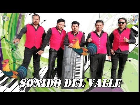 Sonido del Valle - Bien sabes / Recordando Éxitos_EC