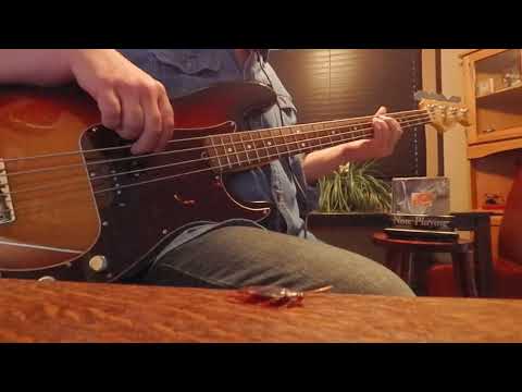 The Bug. Dire Straits. Bass cover.