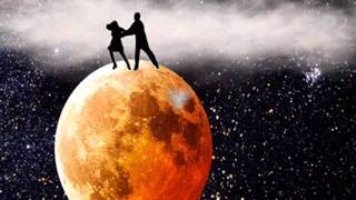 LOVE  YOU  MON  AMOUR    BANDA CALYPSO