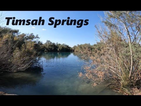 The hidden Timsah springs. Timsah pool Nature reserve, Hof Ha'Carmel, Israel. בריכת תמסח, חוף הכרמל