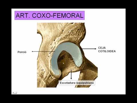 Dolor después de la cirugía de hernia de disco Ungüento para el dolor en el cuello y los hombros hace que el tratamiento