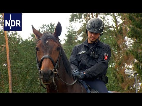 Einsatz für die Pferdepolizei | Die Nordreportage | NDR