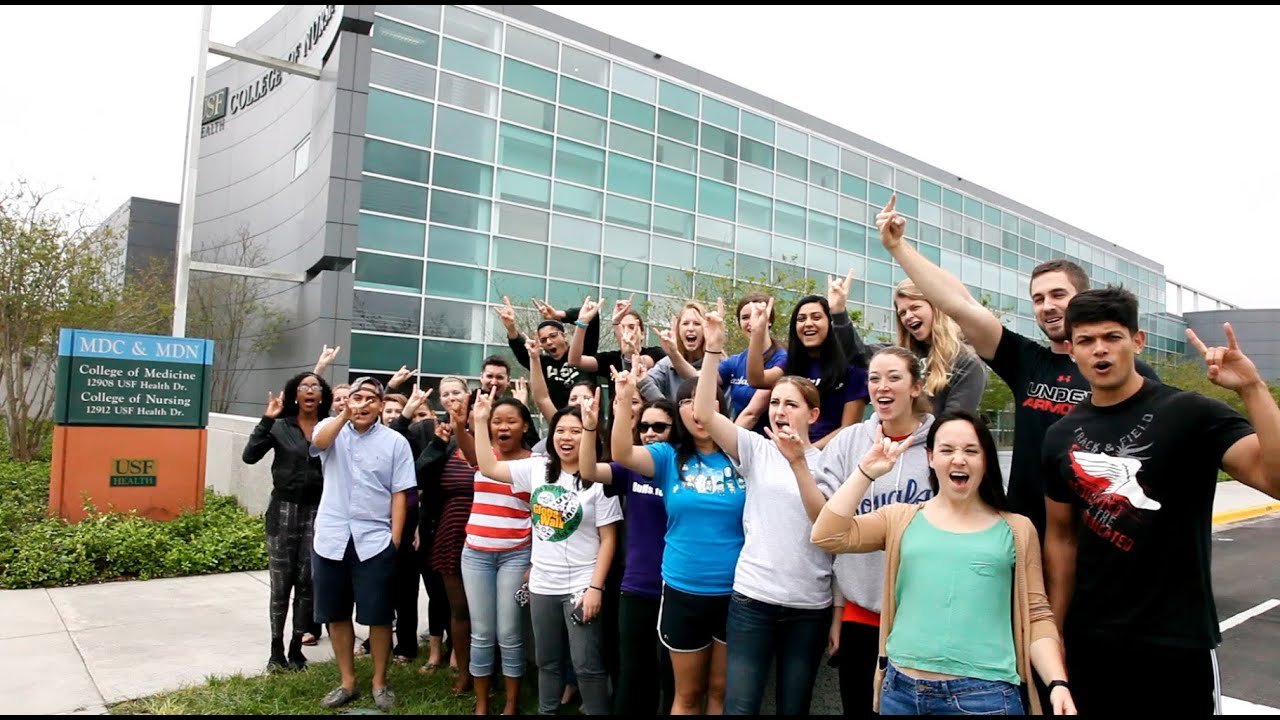 Prospective Students USF Health