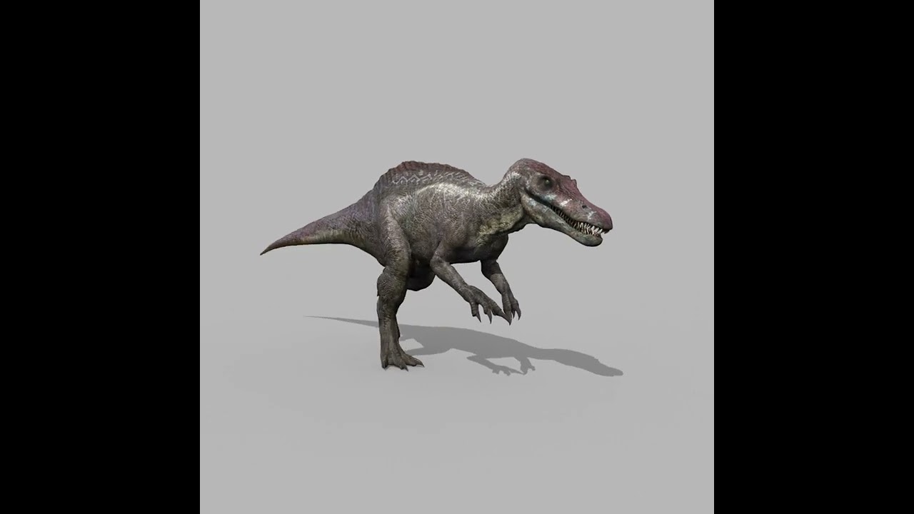 Suchomimus Tenerensis - 8K animated 3D Model