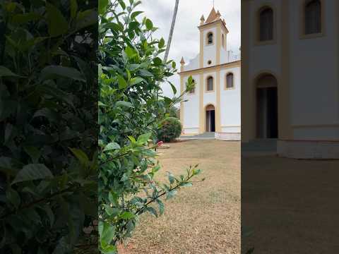 Você conhece Onça de Pitangui em Minas Gerais?