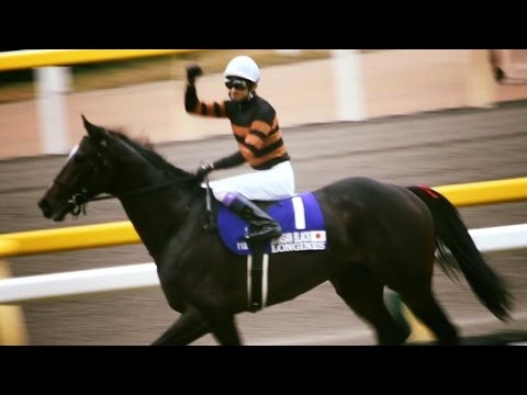 2016.11.27ジャパンカップ⑥キタサンブラック武豊ウイニングラン＠東京競馬場