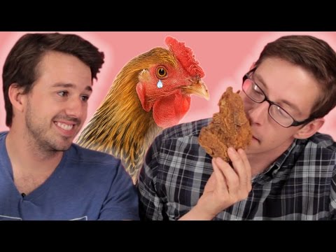 ファーストフードのフライドチキンの味診断 (Fast Food Fried Chicken Taste Test)