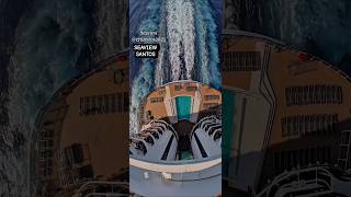 MSC SEAVIEW cruzeiro ship #cruise 28/03/26 Santos navio Buzios Salvador @cruzeiros2025 i #shorts