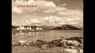 A Red Red Rose - Robert Burns