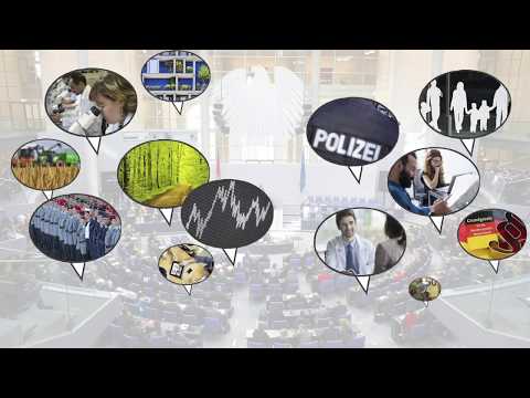 Kurz erklärt: Was sind Ausschüsse?