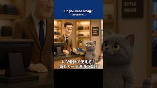 【レジ接客英語】袋の要否・カード決済の案内フレーズ｜初心者向け