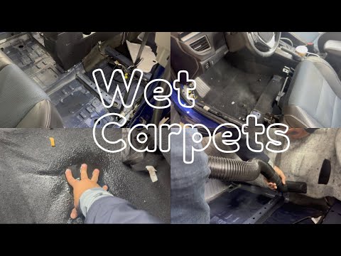 How to Dry Wet Carpets from Rain or Flood( Rhode Island )