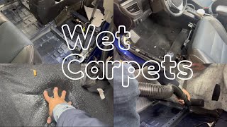 How to Dry Wet Carpets from Rain or Flood